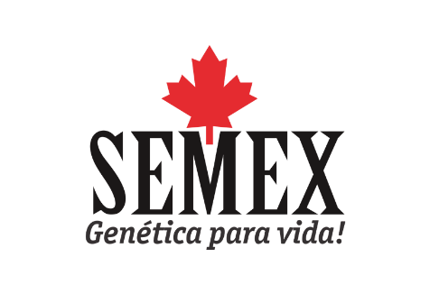 Semex